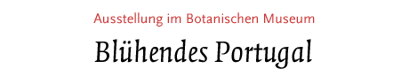 [Blühendes Portugal – Ausstellung im Botanischen Museum]