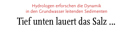 [Tief unten lauert das Salz]