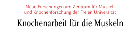 [Neue Forschungen am Zentrum für Muskel- und Knochenforschung]